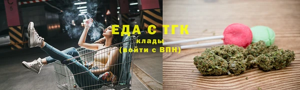 мдпв Гусев
