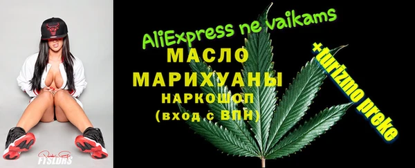 мдпв Гусев