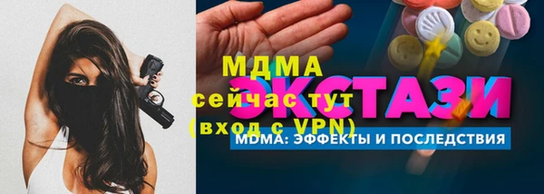 мдпв Гусев