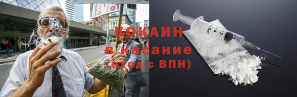 мдпв Гусев