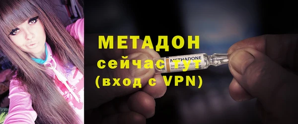 мдпв Гусев