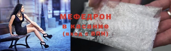 мдпв Гусев