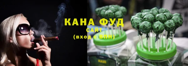 мдпв Гусев