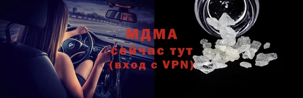 мдпв Гусев