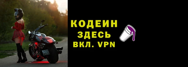 мдпв Гусев