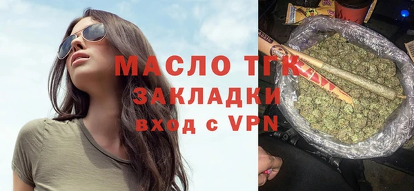 мдпв Гусев