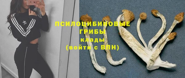 соль курить ск Гусь-Хрустальный