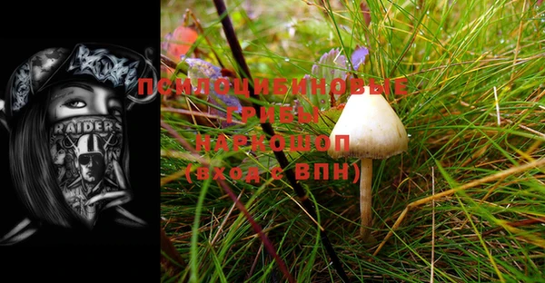 хмурый Гусиноозёрск